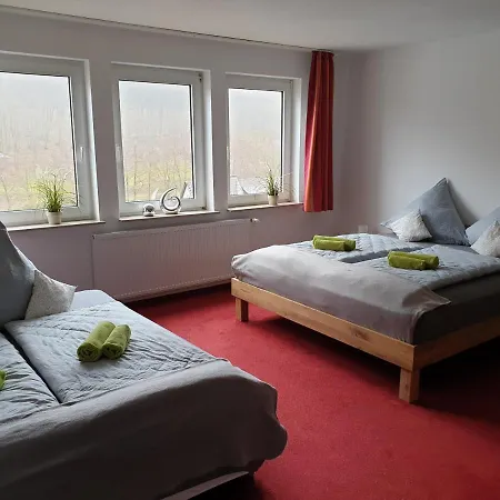 Apartament Vier Pfoten Willingen (Upland)