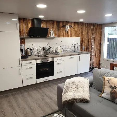 Vier Pfoten Willingen (Upland)