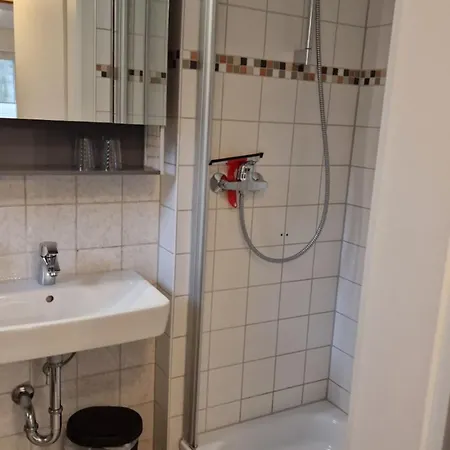 Apartamento Vier Pfoten Willingen (Upland)