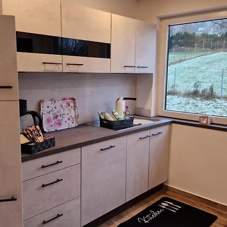 Apartment Vier Pfoten Willingen (Upland)
