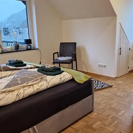 Vier Pfoten Apartament Willingen (Upland)