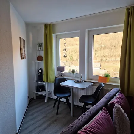 Vier Pfoten * Willingen (Upland)