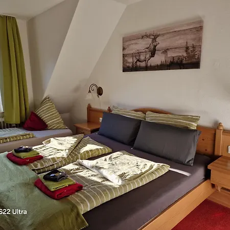 Vier Pfoten Apartamento Willingen (Upland)