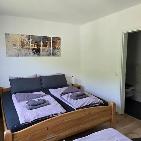 Vier Pfoten Apartmán Willingen (Upland)