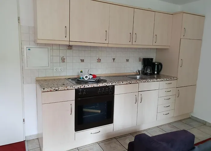 Vier Pfoten * Виллинген