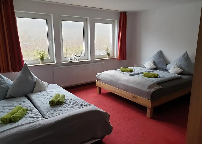 Apartment Vier Pfoten Willingen (Upland)