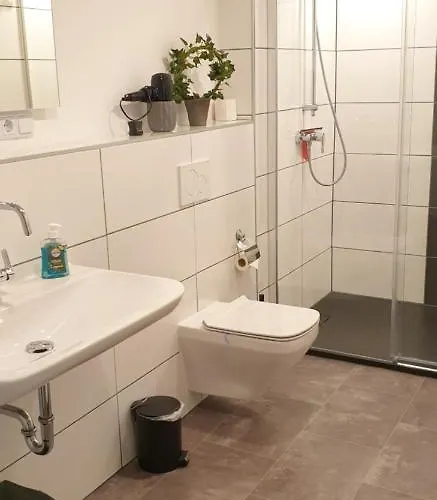 Vier Pfoten Апартаменты Виллинген