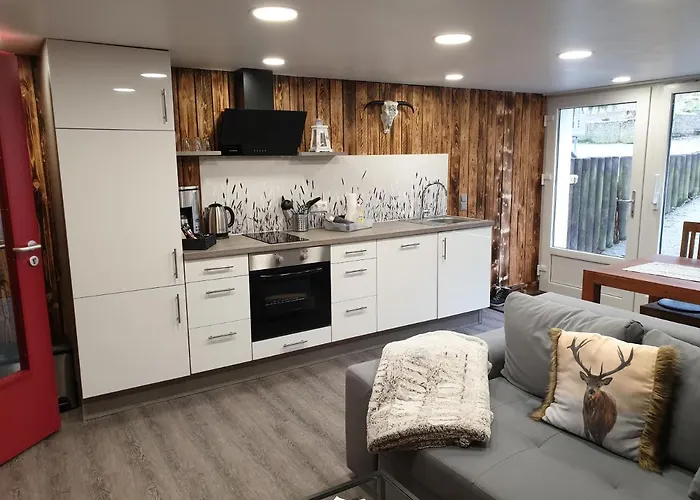 Vier Pfoten Виллинген