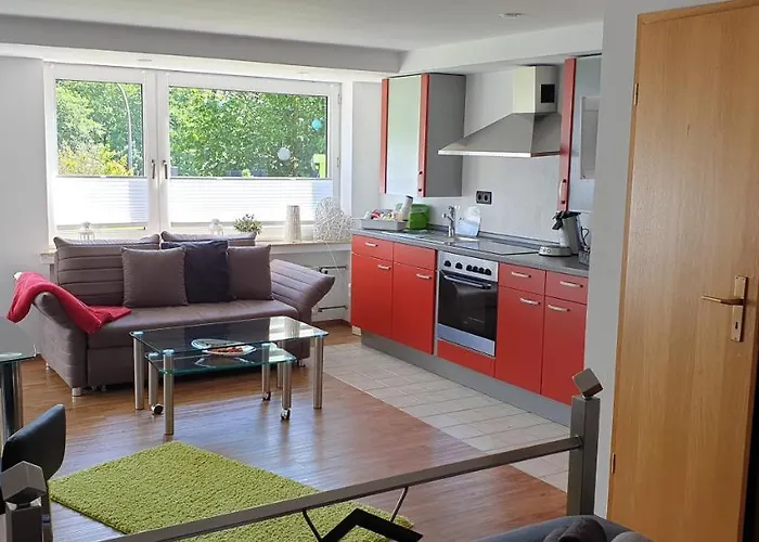 Vier Pfoten Апартаменты Виллинген