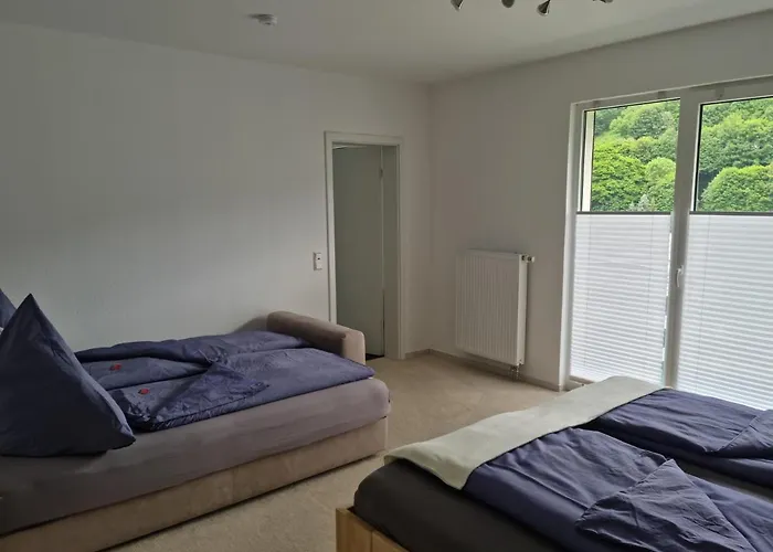 Vier Pfoten Апартаменты Виллинген