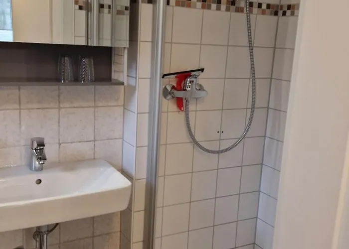 Апартаменты Vier Pfoten Виллинген