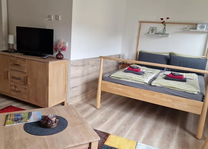 Vier Pfoten Виллинген