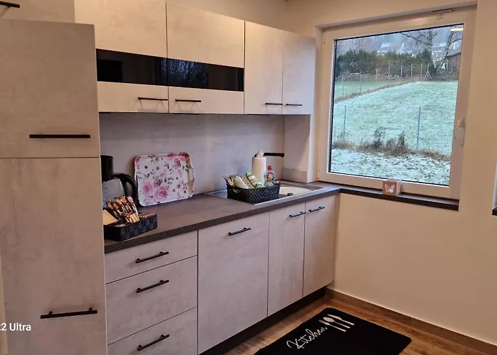 Апартаменты Vier Pfoten Виллинген