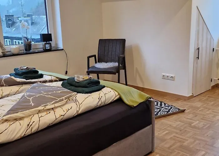 Vier Pfoten Апартаменты Виллинген