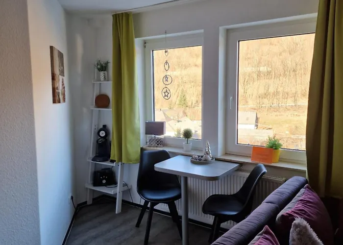 Vier Pfoten * Виллинген