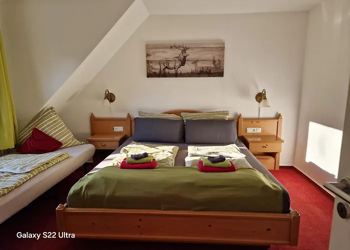 Апартаменты Vier Pfoten *