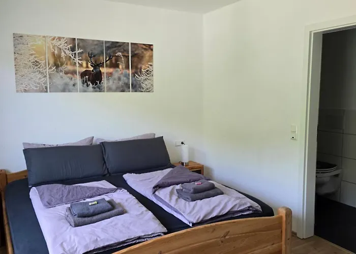 Vier Pfoten Апартаменты Виллинген