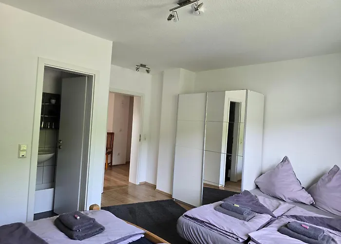 Vier Pfoten Апартаменты Виллинген