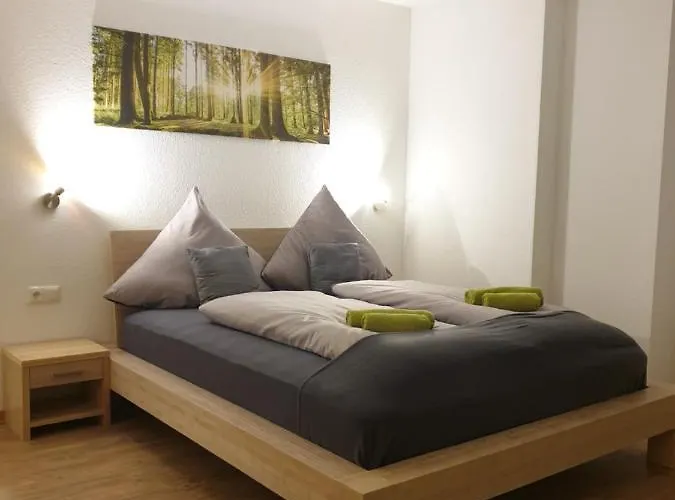 Апартаменты Vier Pfoten Виллинген